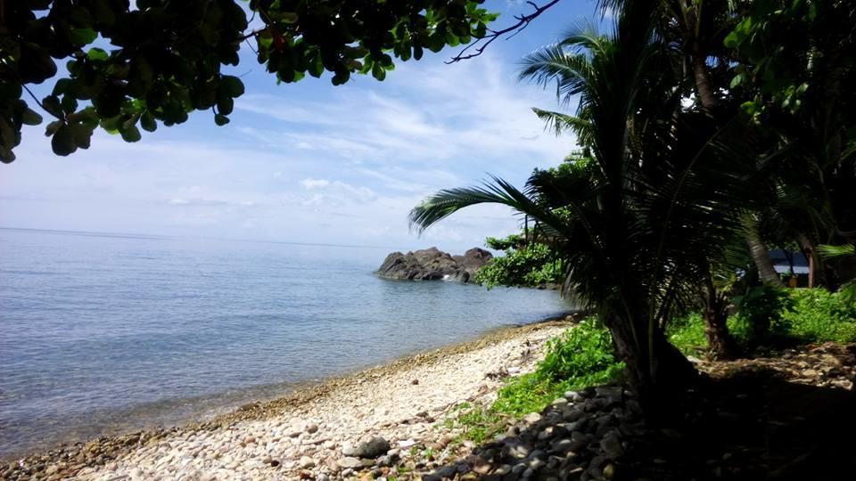 Paradise Palms チャン島 エクステリア 写真