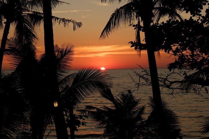 Paradise Palms チャン島 エクステリア 写真