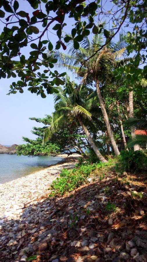 Paradise Palms チャン島 エクステリア 写真